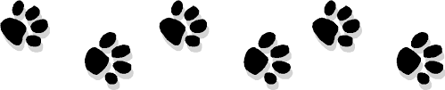 Divider - Paws.png